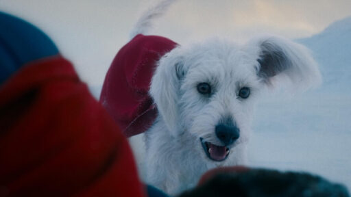 Krypto em Superman