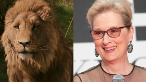 As Crônicas de Nárnia pode ter Meryl Streep como a voz do Leão em filme da Netflix