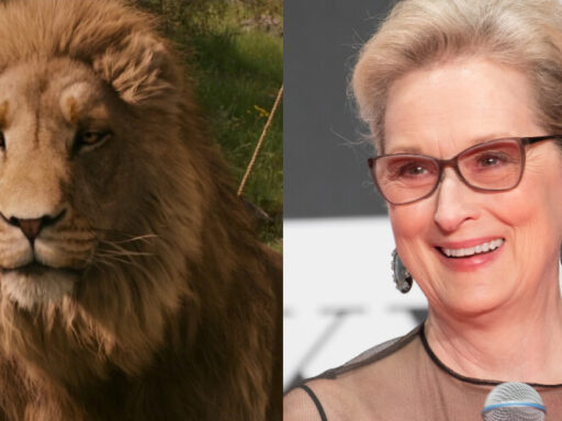 As Crônicas de Nárnia pode ter Meryl Streep como a voz do Leão em filme da Netflix