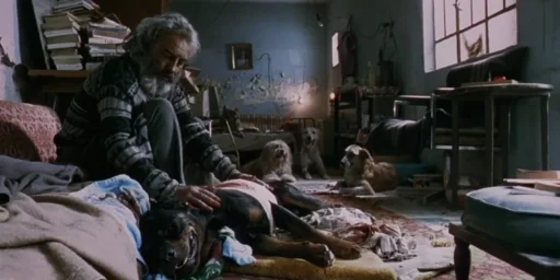 Amores Brutos, filme de Alejandro G. Iñárritu