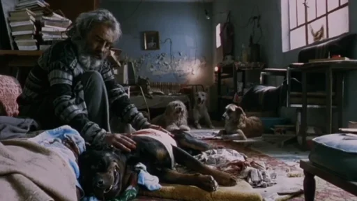 Amores Brutos, filme de Alejandro G. Iñárritu