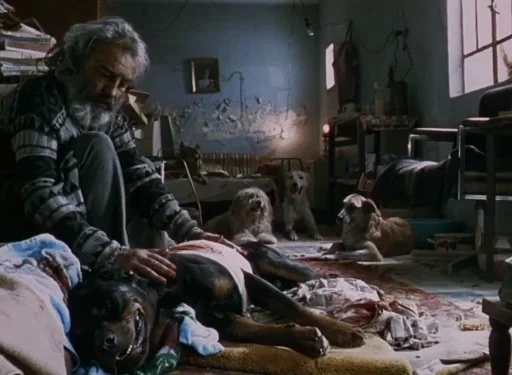 Amores Brutos, filme de Alejandro G. Iñárritu