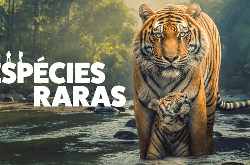 Espécies Raras (The Wild Ones)