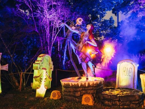 O Estranho Mundo de Jack de Tim Burton – Caminho de Luzes exposição