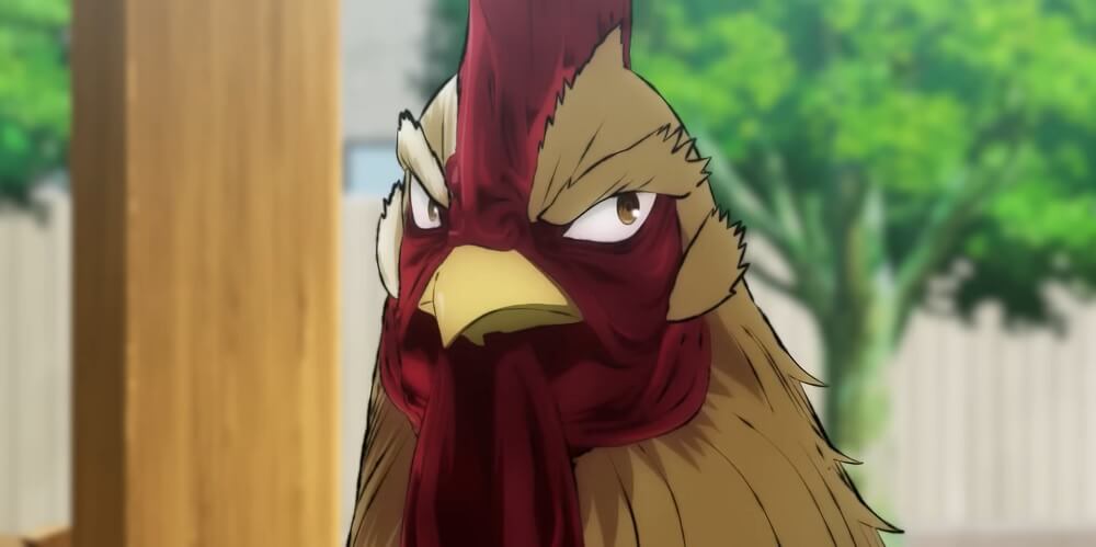 Rooster Fighter anime