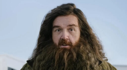 nick frost como hagrid na série de harry potter