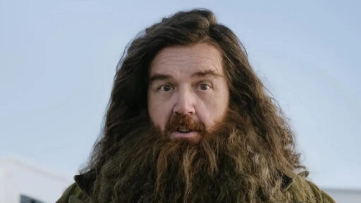 nick frost como hagrid na série de harry potter