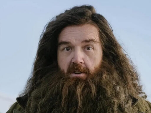 nick frost como hagrid na série de harry potter