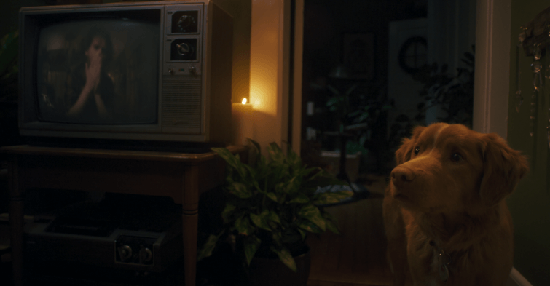 Bom Menino (Good Boy) - filme de terror sob a perspectiva de um cão