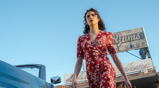 Honey, Não!, filme dirigido por Ethan Coen