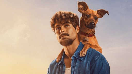 Caramelo - a história real do cão Amemdoim, estrela do filme da Netflix