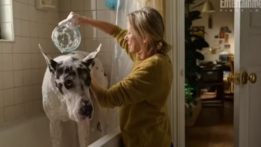 Apollo morre no filme O Amigo - Análise e Explicação do filme no Prime Video